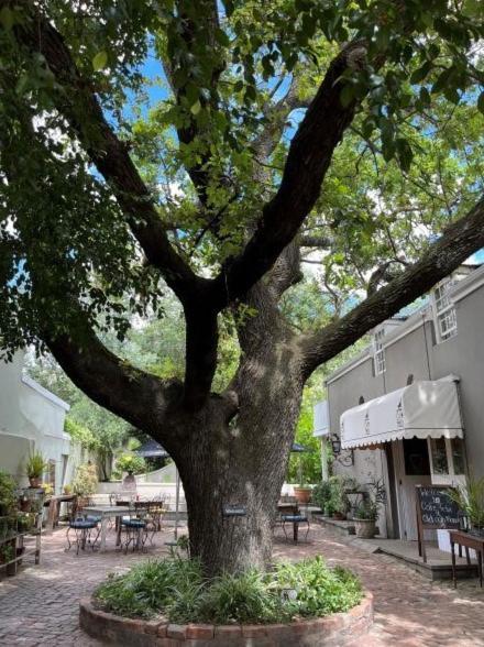 Cafe Felix & Old Oak Manor Otel Riebeek-Kasteel Dış mekan fotoğraf