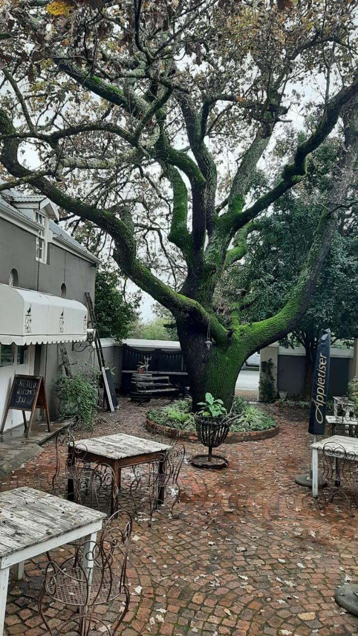 Cafe Felix & Old Oak Manor Otel Riebeek-Kasteel Dış mekan fotoğraf